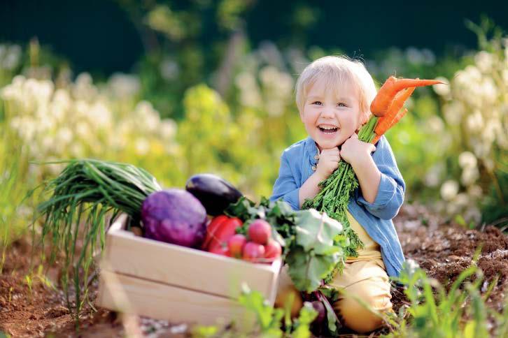 SORTIMENT Foto: Shutterstock.com / Maria Sbytova ČESKÁ BIOPOTRAVINA 2020: HARMONOGRAM 19. ROČNÍKU SOUTĚŽE O NEJLEPŠÍ TUZEMSKOU BIOPOTRAVINU Uzávěrka přihlášek: 14. srpna 2020 Dodání vzorků: 20.