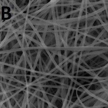1. SEM snímky SEM snímky byly nasnímány na skenovacím elektronovém mikroskopu od společnosti Tescan