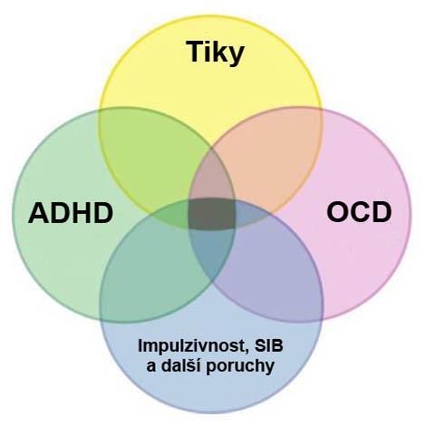 Klinický obraz TS Tiky (bez komorbidity jen 10%) Přidružené poruchy chování - 70% hyperaktivita s poruchou pozornosti (ADHD) - 50% obsedantně-kompulsivní porucha (OCD) -