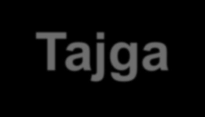 severu tajga přechází v tundru (spíše