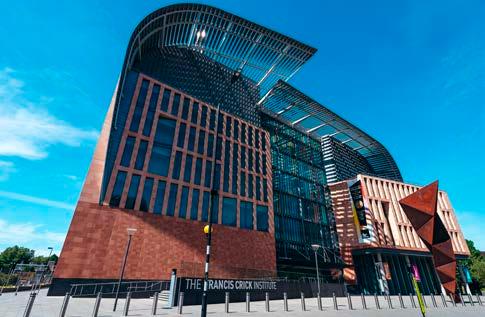 Za poznáním šel i do světa. A nyní působí jako vedoucí výzkumné skupiny na elitním The Francis Crick Institute v Londýně.