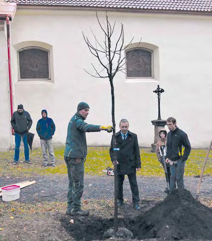 prosinec 2018 měsíčník města Jílového u Prahy zdarma / ročník 25 Nové vedení města Vítězné snímky fotosoutěže Starosta Pavel Pešek zasadil