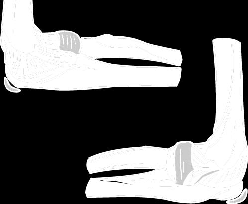 1 Ligamentum collaterale ulnare 5.