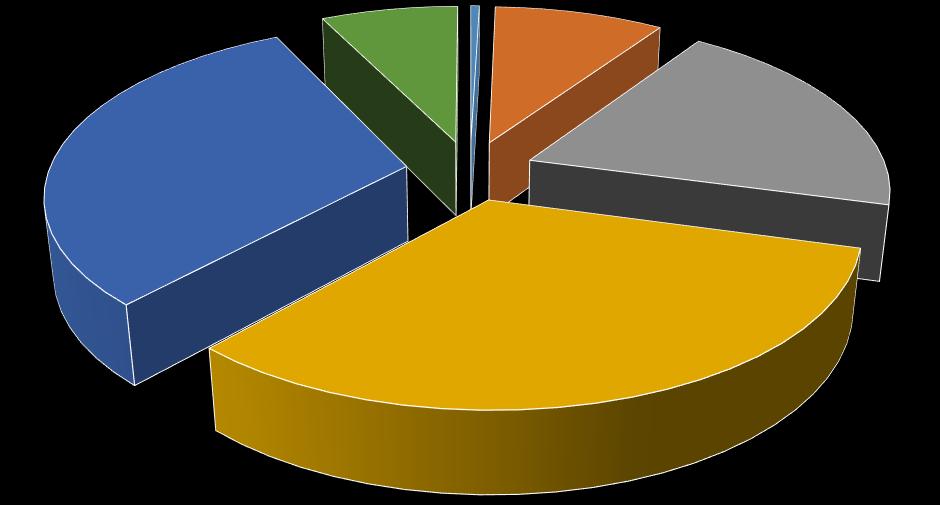 II.2. Věková struktura zaměstnanců Věkové rozmezí muži (fyz. osoby) ženy (fyz. osoby) celkem (fyz.