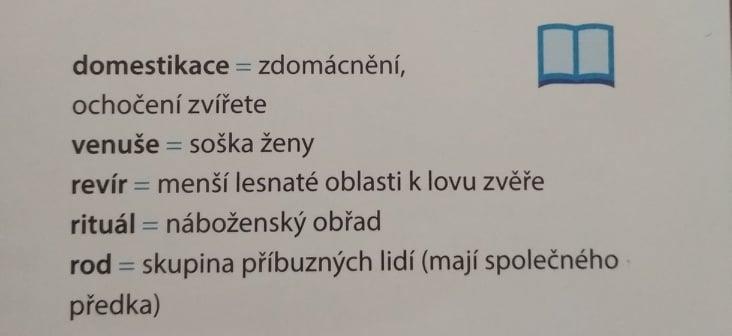 MEZOLIT 8000-5500 PŘ.N.L. - Oteplení Způsob života - Střídání ročních období - revíry - Smíšené lesy - rody místo tlupy - Lesní zvířata - první pohřebiště - Pes - Rybolov OTÁZKY K PROMYŠLENÍ: 1.