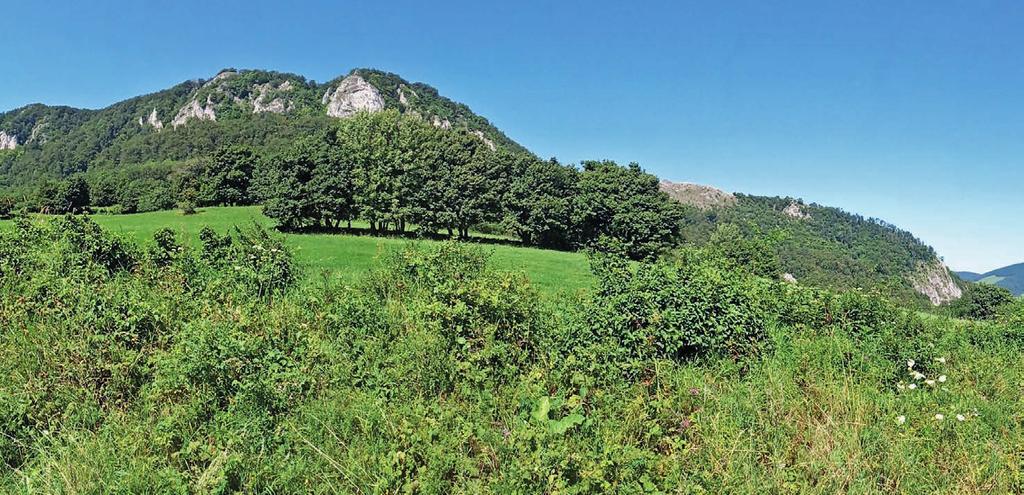 TJ DOLNÍ LOMNÁ BÍLÉ KARPATY Valašské Klobouky Prošli jsme Národní přírodní rezervaci Pulčín, a také přírodní rezervaci Vršatské bradlá.