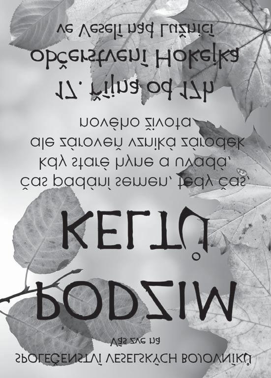 V roce 2018 získal třetí místo v soutěži Básně SK/CZ a obdržel velmi prestižní ocenění udělované autorům z Německa, Rakouska a České republiky Drážďanská cena lyriky.