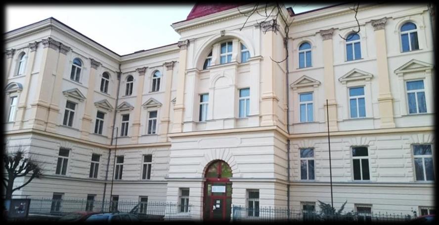 Ústav sv. Jana Nepomuka Neumanna Pobočka Vysoké školy zdravotníctva a sociálnej práce sv. Alžbety Bratislava n. o., byla v Příbrami zřízena jako detašované pracoviště od akademického roku 2006/2007.