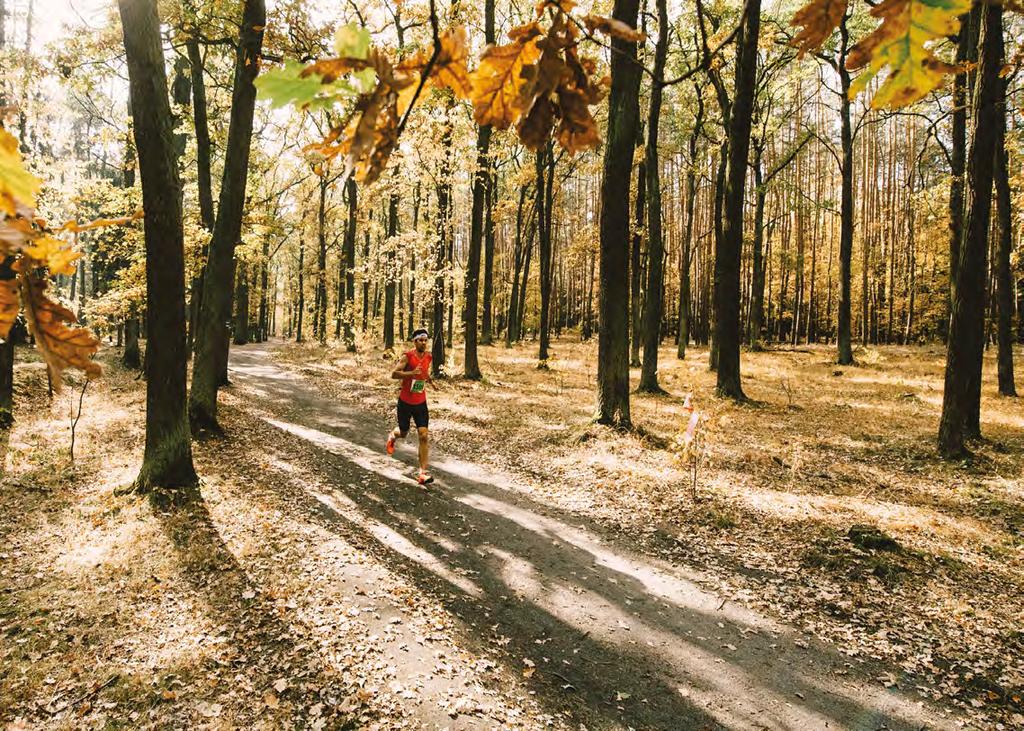 medaili V cíli nahradí koláče Na programu budou opět trasy 21 km, 10 km, štafeta 11+10 km, Canicross (běh se psem) a dětské závody. Děti z Klánovic mají i letos startovné zdarma.