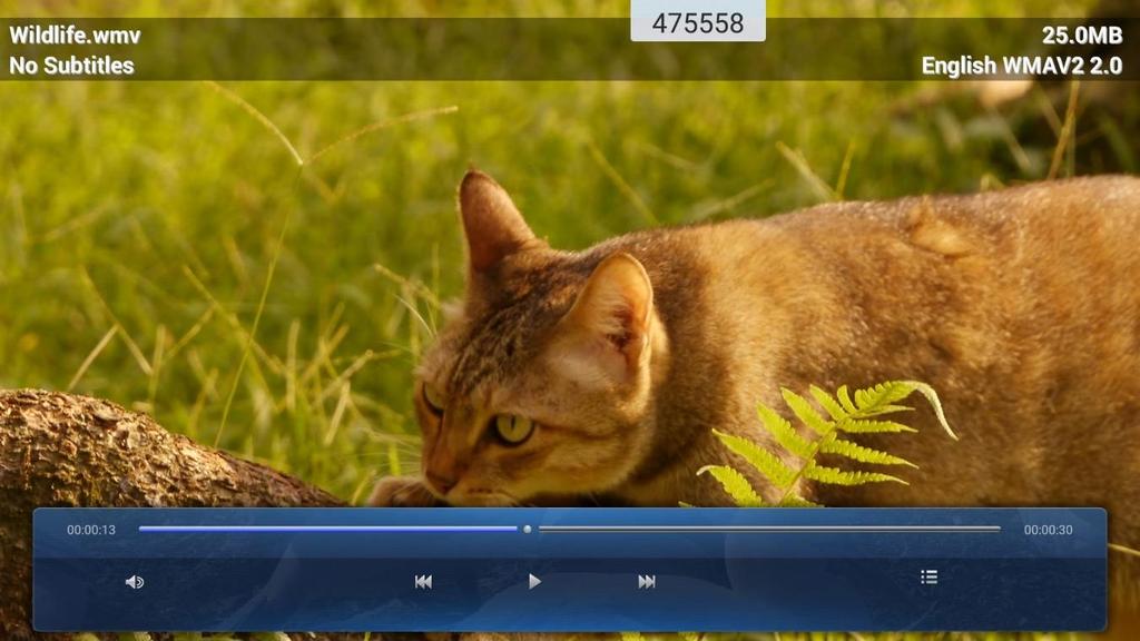 POUŽITÍ APLIKACÍ Přehrávání videí Vyberte video, které chcete přehrát, a klepnutím na spusťte přehrávání. Během přehrávání můžete provádět následující: Pol.