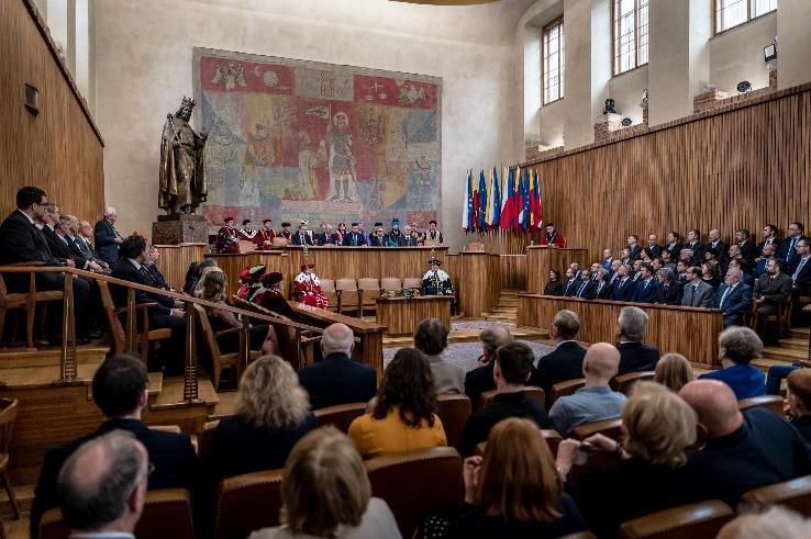 Patří do ní akutní řešení ztrátových poranění (amputací) a úrazových defektů, klinika zajišťuje 24hodinový replantační servis.