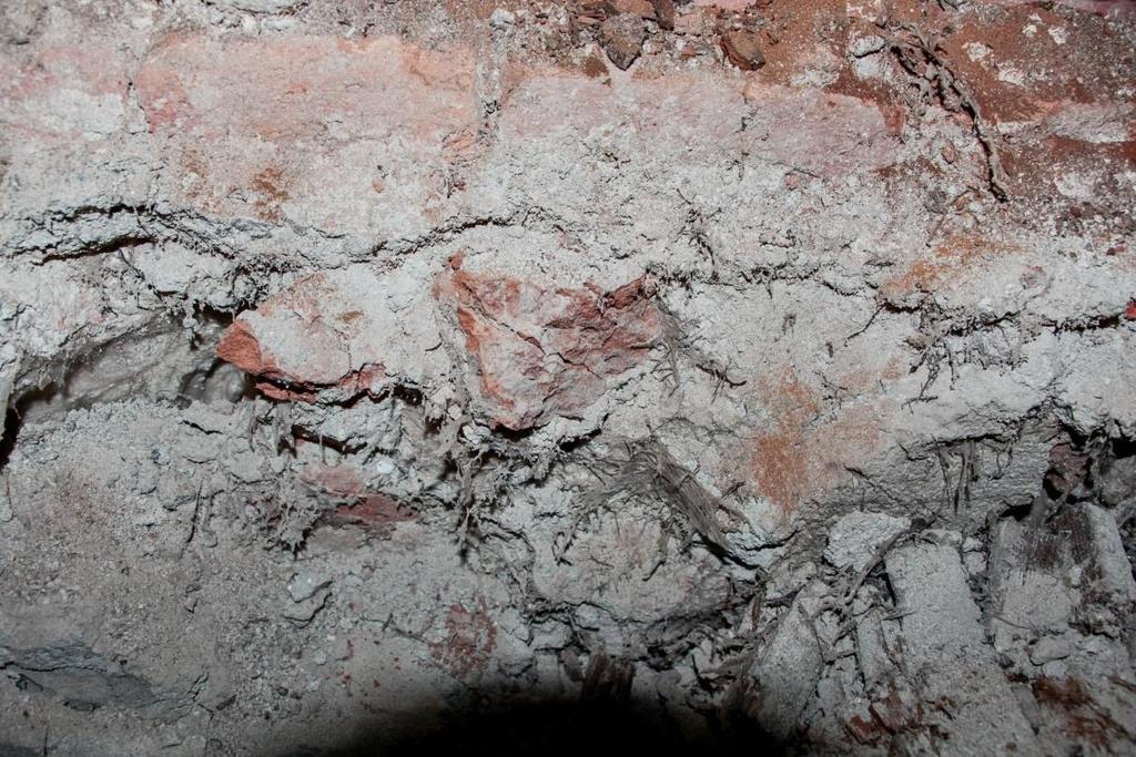 Mycelium dřevomorky, prorůstající spárami mezi cihlami do hloubky zdiva