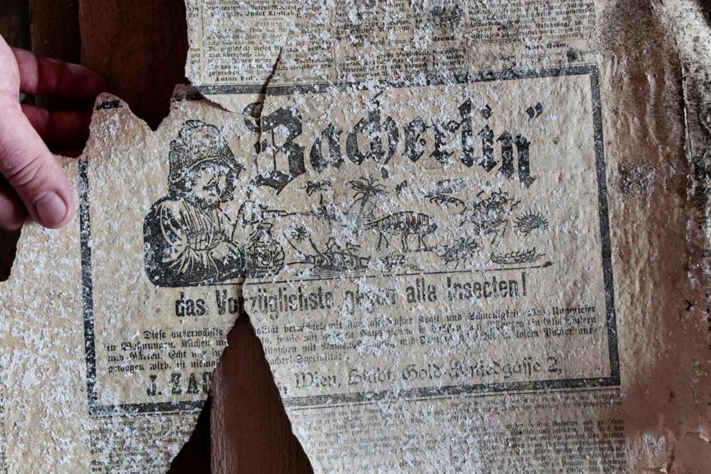 Útržek novin z roku 1888, nalezený jako podklad pod tapetou na