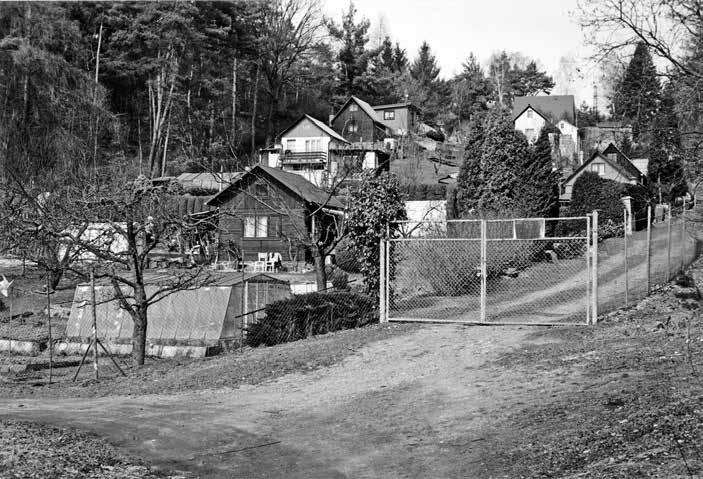 Foto Hvězda, 2011 4.