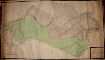 1. Zobrazené území 2. Obsahové určení plzeňské panství Senec mapa pozemků Číslo katalogizačního záznamu: 2. 3. Název No. 3. Geometrischer Plan des zu der Königl.