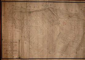 1. Zobrazené území 2. Obsahové určení plzeňské panství Útušice mapa pozemků Číslo katalogizačního záznamu: 17. 3. Název Geometrischer Grund: Riss des zur Koeniklich: [!