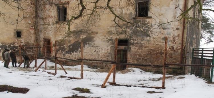 2) Uzavření bezoárové zvěře do odchytové ohrady, kam byla pomalu natlačena. 3) Postupný výběr jednotlivců z uzavřené populace a jejich přepouštění do manipulačních odchytových komor.