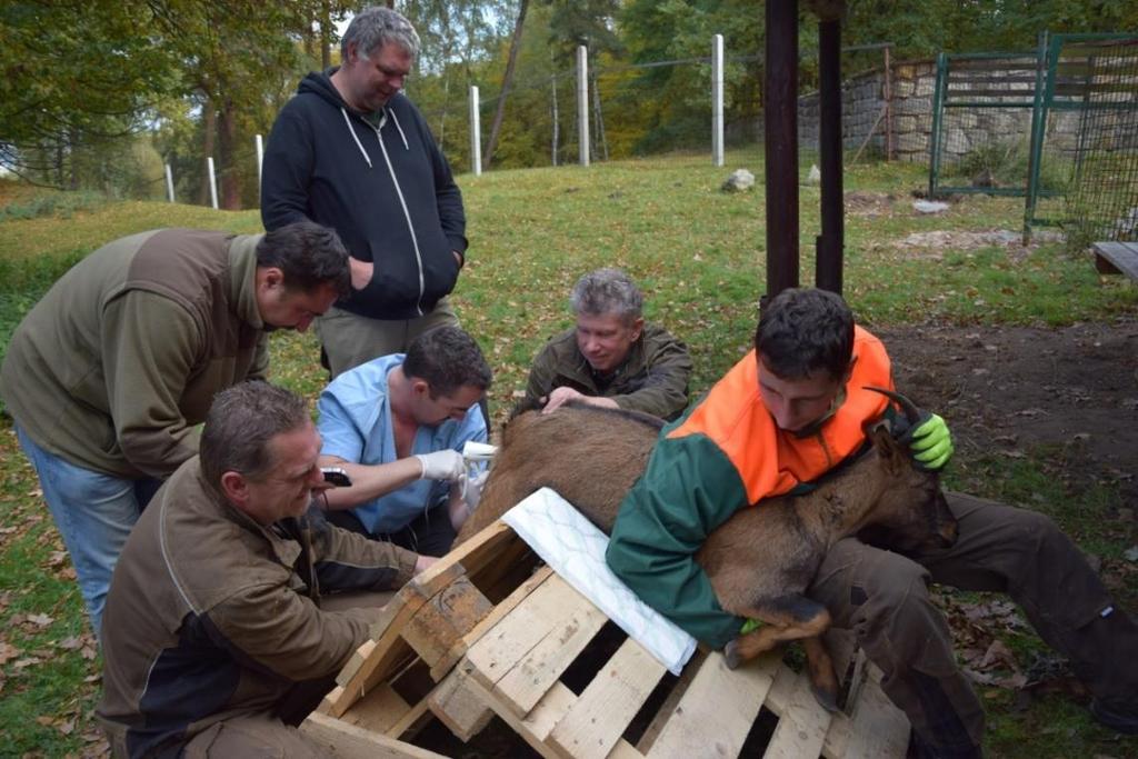 teplotě dle metodiky Dr. Pokorádiho. Po poledni pak v oboře Vřísek provedl Dr.