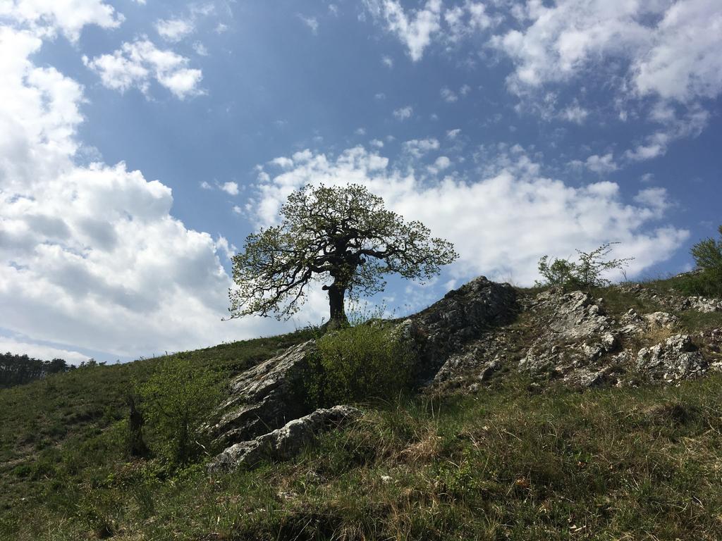 Děkuji za