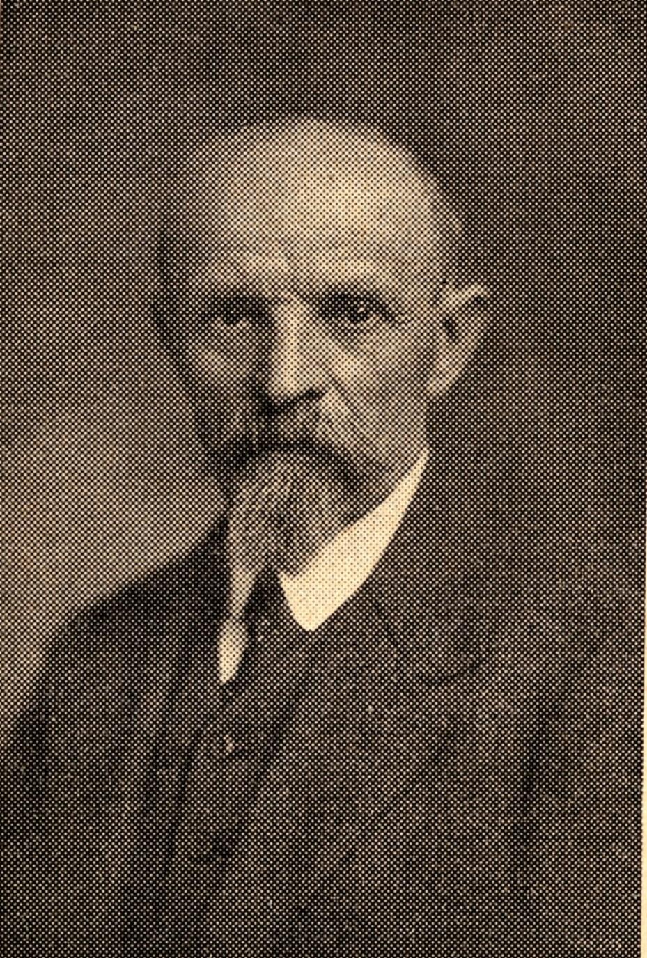 Okresní starosta František