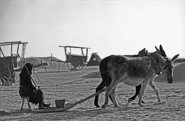 Zprávy z MDDM Galerie MDDM představuje......fotografa Karla Pokorného, Dipl. Ing. ETH Španělsko - žně sáňkami Jdu světem s očima otevřenýma, stále s představou kompozice možného obrazu.