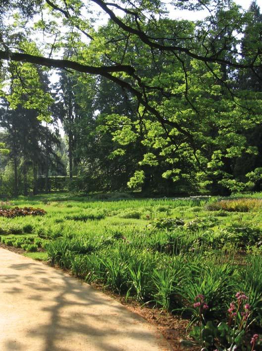 Přijímací řízení pro studijní program RSZ, specializaci SZ/ Kritéria pro zařazení do přijímacího řízení: vyplněná přihláška, úředně ověřená kopie maturitního vysvědčení a potvrzené výsledky studia