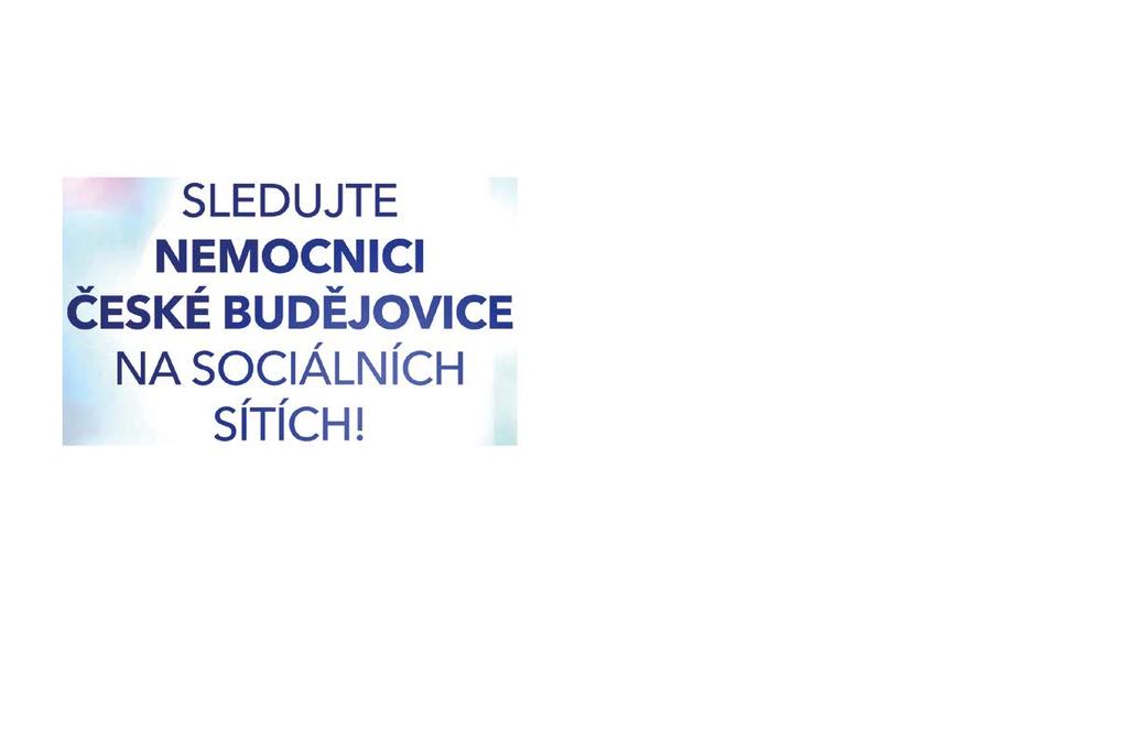 Každý máme svůj úkol, vyjdeme si vstříc, pomůžeme jeden druhému.