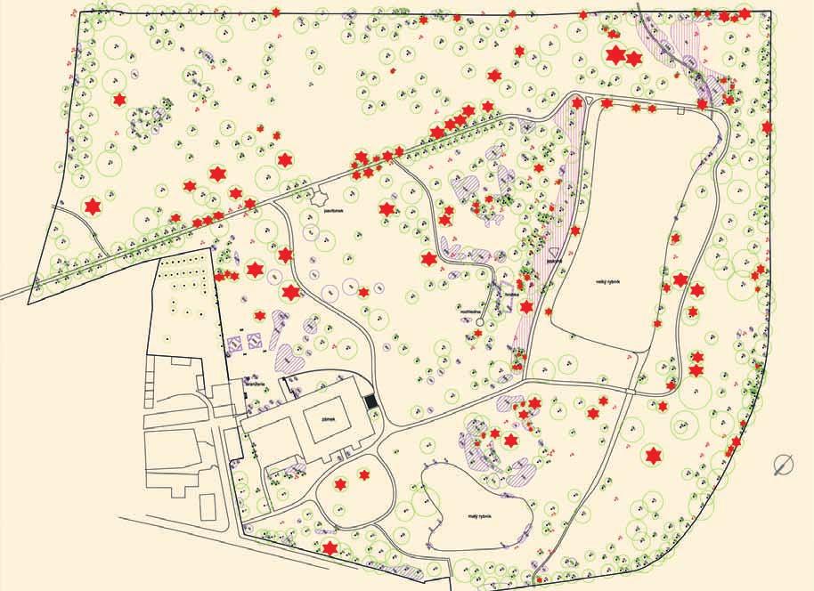 Tab. 1. Stupnice napadení stromu jmelím. Tab. 1. Mistletoe infestation scale of a tree.