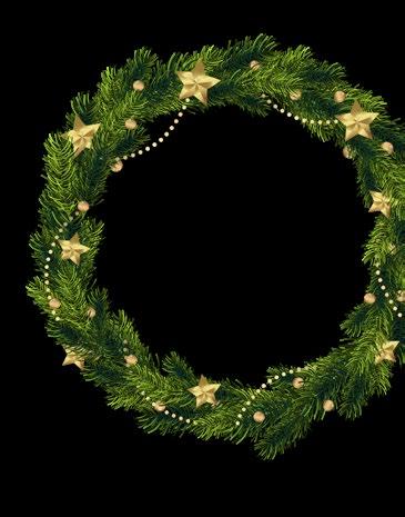 Výhodná adventní nabídka v Magis VÁNOČNÍ BALENÍ FORTEglukan ImunSupra