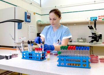 To je možná ta méně viditelná, ale podstatně důležitější část vložených investic. Při této příležitosti jsme položili panu doktoru Polachovi několik otázek.