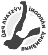 STATISTIKA XV. BRNĚNSKÁ NÁRODNÍ VÝSTAVA PSŮ 11