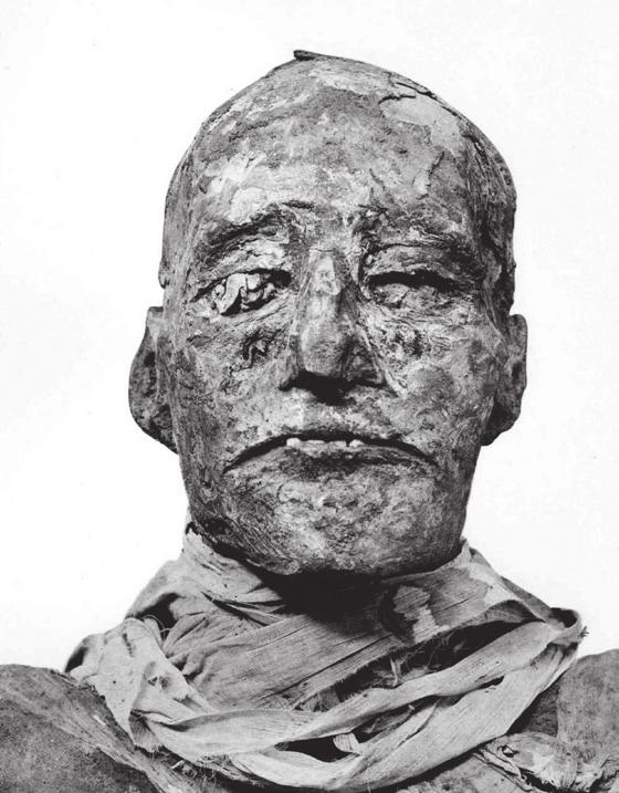 Přes probleskující známky rostoucí celkové krize lze Egypt za vlády Ramesse III.