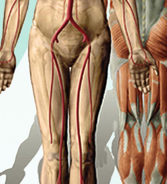 Wolfram Syndrome: Diagnosis, Management, and Treatment. Curr Diab Rep.