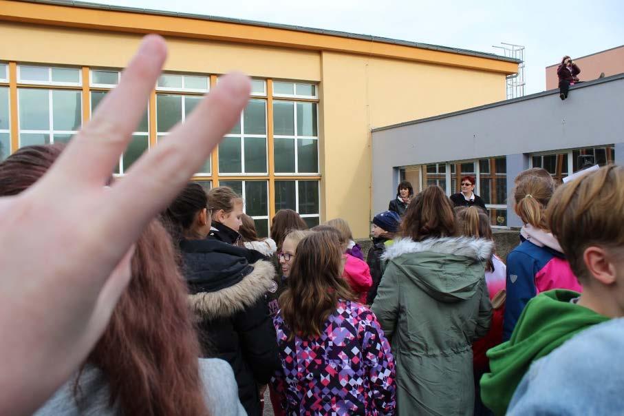 11. 2019 Obrázek č.