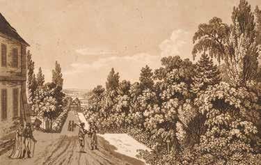 téma štědrými finančními příspěvky. Jeho nákladem byla vydána čtyřsvazková Flora Bohemica iconibus illustrata, jejímž autorem byl český botanik Franz Willibald Schmidt (1764 1796).