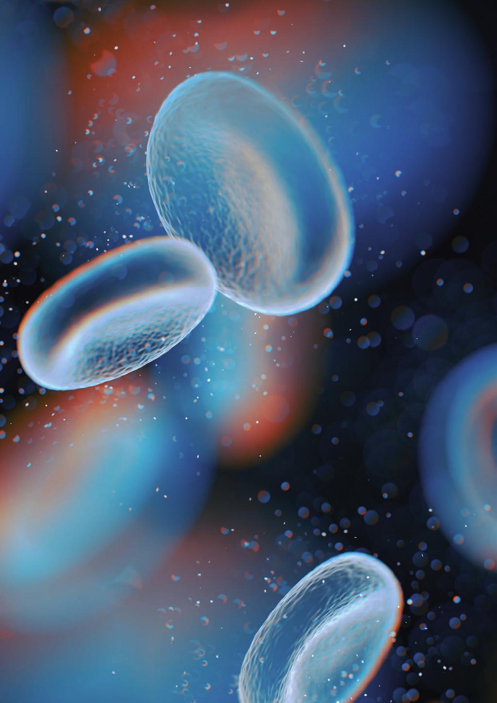 V ANGIOLOGII