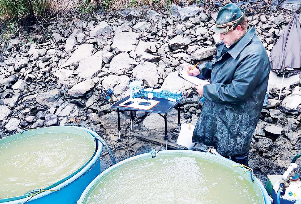 Katolický týdeník / 15. 28. prosince 2020 Vánoce s KT / 5 Vánoční tradice Chov kaprů u nás zavedli mniši Ján Regenda je povoláním rybář. Člověk by si ho představoval někde u rybníka či řeky.