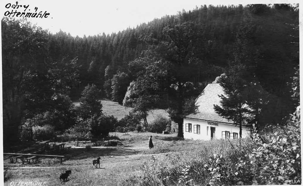 Hadinka Hadinka v letech 1910 až 1920, hájovna s výletním hostincem Ottermühle