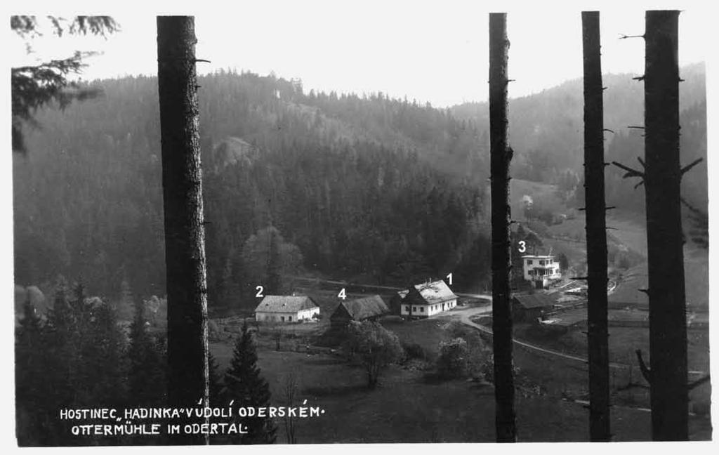 Riedl (www.riedl.cz). Klokočov Hadinka 1933 1934, pohled do údolí Budišovky.