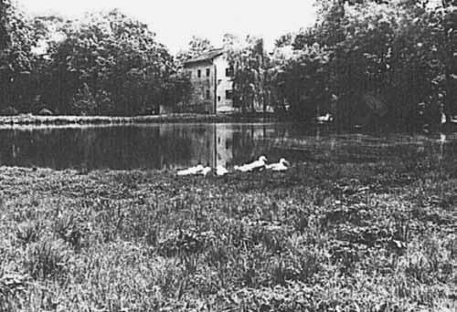 Poodří v poezii a próze Starší fotografie mlýna s rybníkem, datace nejistá (Foto převzato z archivu Městského úřadu v Klimkovicích).