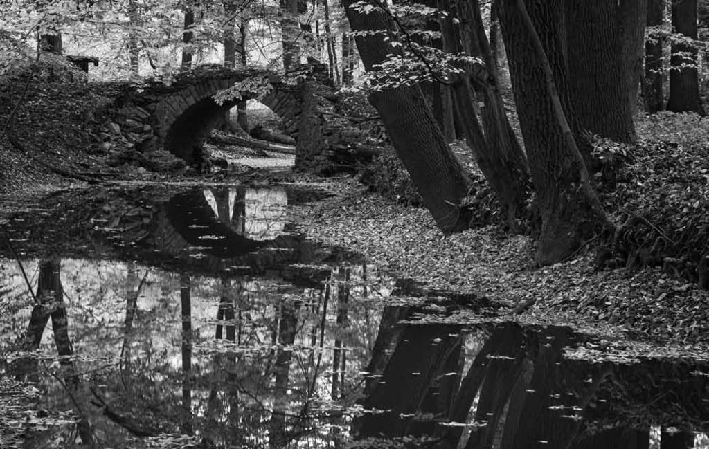Fotografická výstava o Poodří Hudbou a zpěvem program doplnila kapela GZM ze Suchdolu nad Odrou.