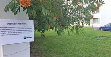 A tak jsme se i v Třeboni prošli po pověstném červeném koberci. Nechyběly ani festivalové hrnečky, tentokrát s potiskem daného města. Jednalo se tedy o opravdu zvláštní sběratelský artikl.