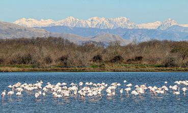 Foto: Marianne van Twillert-Wennekes (montenegro-for.