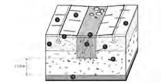 Obr. 5 Vsakovací nádrž (zdroj: TNV 75 9011) 1 Zatravněná humusová vrstva; tl. 0,3 m, K 1.10-5 m.s -1 2 Propustné půdní a horninové prostředí 3 Soustředěný podpovrchový přítok, event.