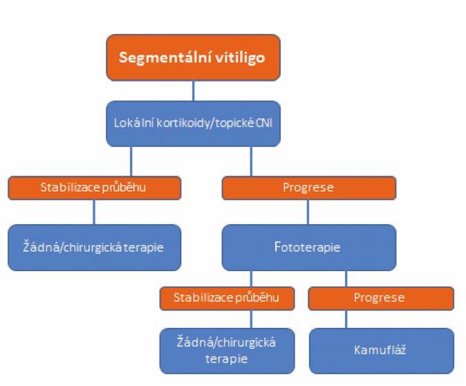 CELOŽIVOTNÍ VZDĚLÁVÁNÍ TERAPIE Obr. 1 Doporučený postup pro léčbu nesegmentálního vitiliga Podle: http://www.euroderm.org/images/stories/guidelines/algorithm.