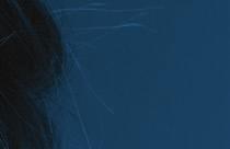 Psoriasis. In. Česká dermatovenerologie, 20