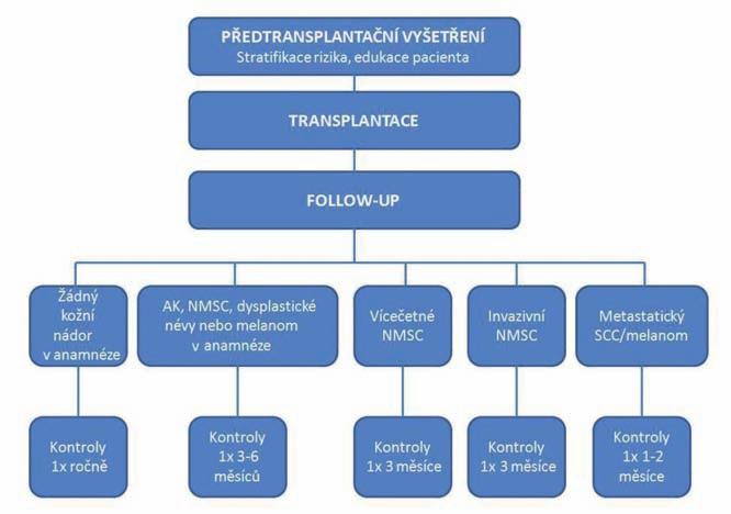KAZUISTIKA Prohlášení: autorka v souvislosti s tématem práce v posledních 12 měsících nespolupracovala s žádnou farmaceutickou firmou. Literatura Obr.