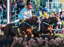 MERANO NÁM SVĚDČÍ NORTHERLY WIND DRUHÝ V GRAND PREMIO MERANO V nejslavnějším a nejvíce dotovaném dostihu roku, LXXXI GRAN PREMIO MERANO ALTO ADIGE (Steeplechase Gd-1 5000 m, cena, 4letí a starší) si