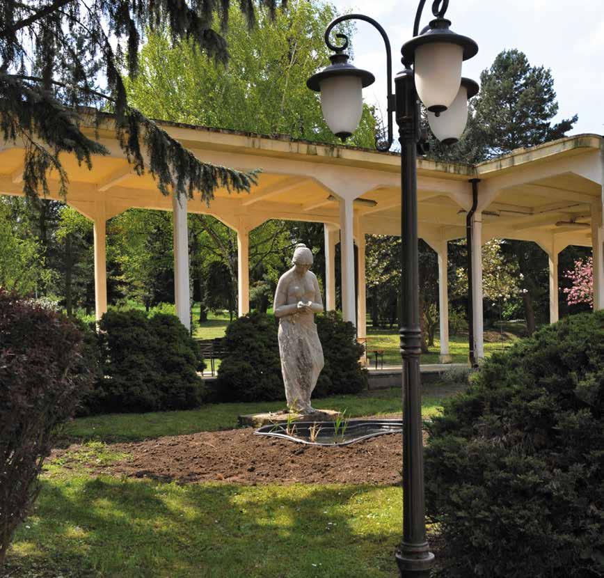 VI. DALŠÍ PROVOZY Slatinné lázně Toušeň vrchní sestra: Mgr. Alice Školníková Slatinné lázně Toušeň jsou detašovaným pracovištěm Nemocnice Na Bulovce od září 2006.