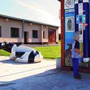 K dostání je na našich farmách nebo ve dvou mléčných automatech u koupaliště a u Selské pekárny (u Lidlu).